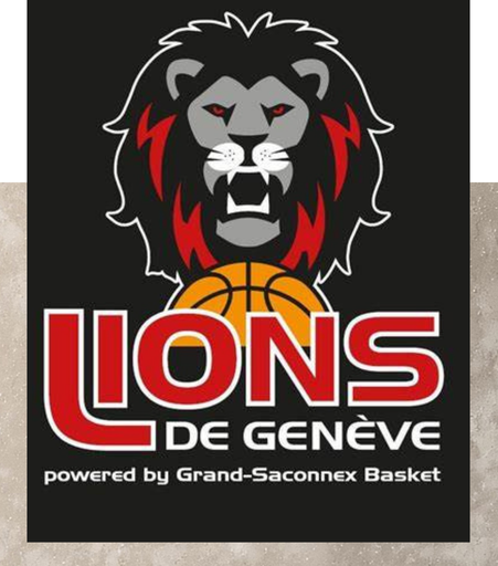 Lions de Genève séance posturologie